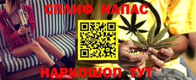 гашик Нальчик