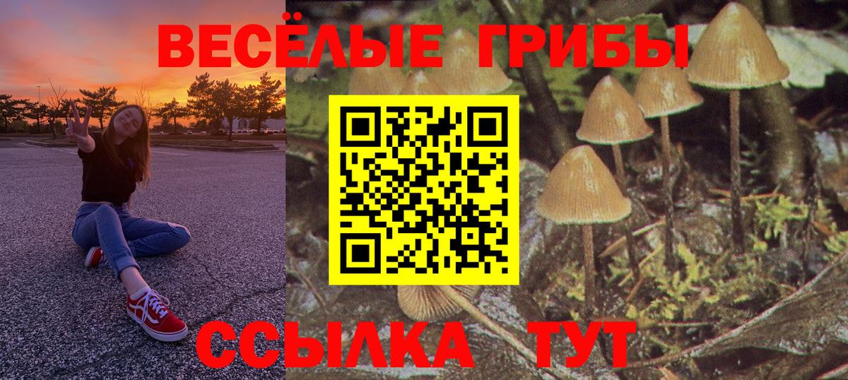 Великие Луки  Галлюциногенные грибы прущие грибы  Вход с VPN 