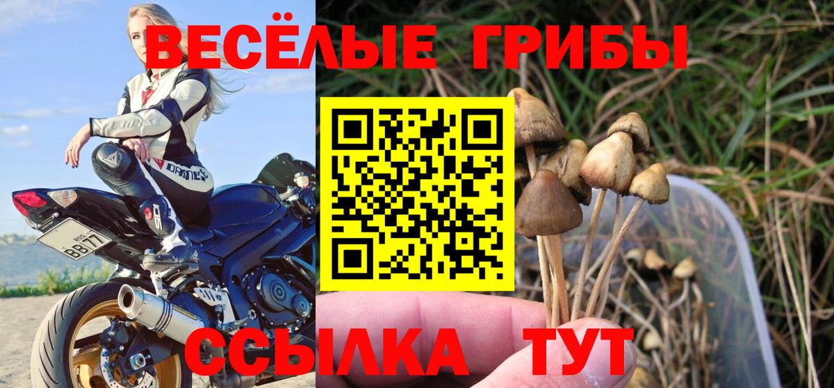 А ПВП СОЛЬ   Гашиш  Cocaine  ТГК  Конопля  MDMA  ЭКСТАЗИ  МЕФ кристаллы  Великие Луки  Вход с VPN 